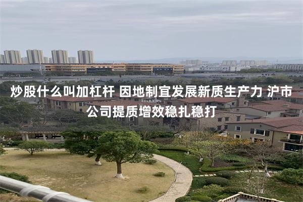 炒股什么叫加杠杆 因地制宜发展新质生产力 沪市公司提质增效稳扎稳打