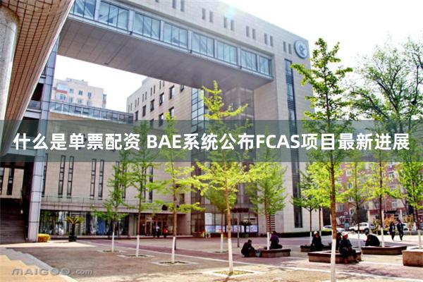 什么是单票配资 BAE系统公布FCAS项目最新进展