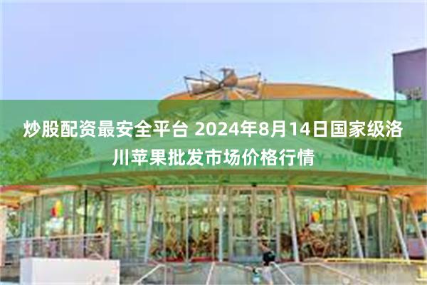 炒股配资最安全平台 2024年8月14日国家级洛川苹果批发市场价格行情