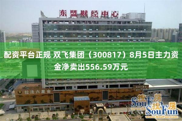 配资平台正规 双飞集团（300817）8月5日主力资金净卖出556.59万元