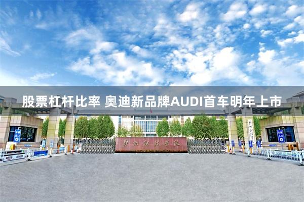 股票杠杆比率 奥迪新品牌AUDI首车明年上市