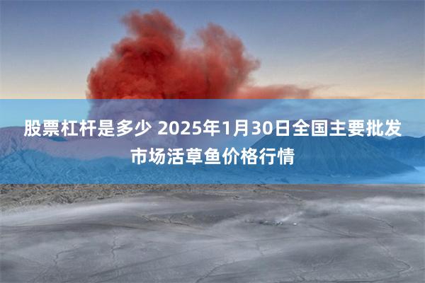 股票杠杆是多少 2025年1月30日全国主要批发市场活草鱼价格行情